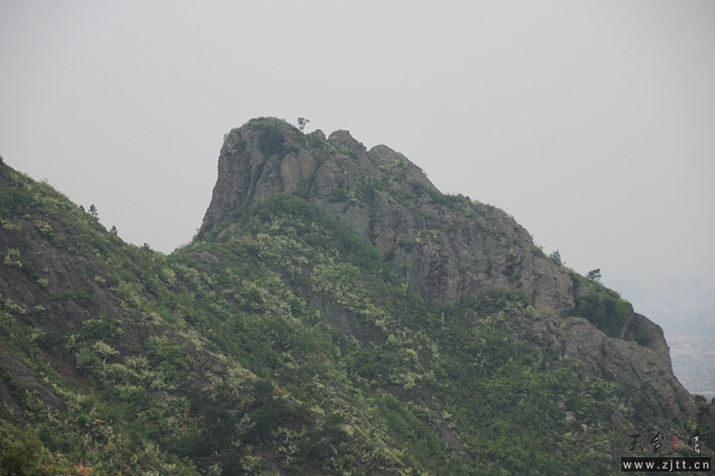 照片 628_副本.jpg