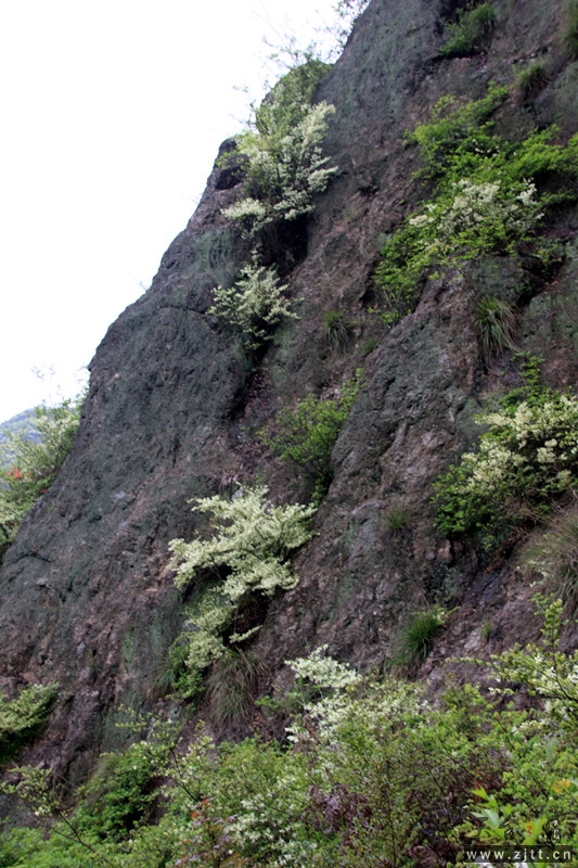 照片 629_副本.jpg