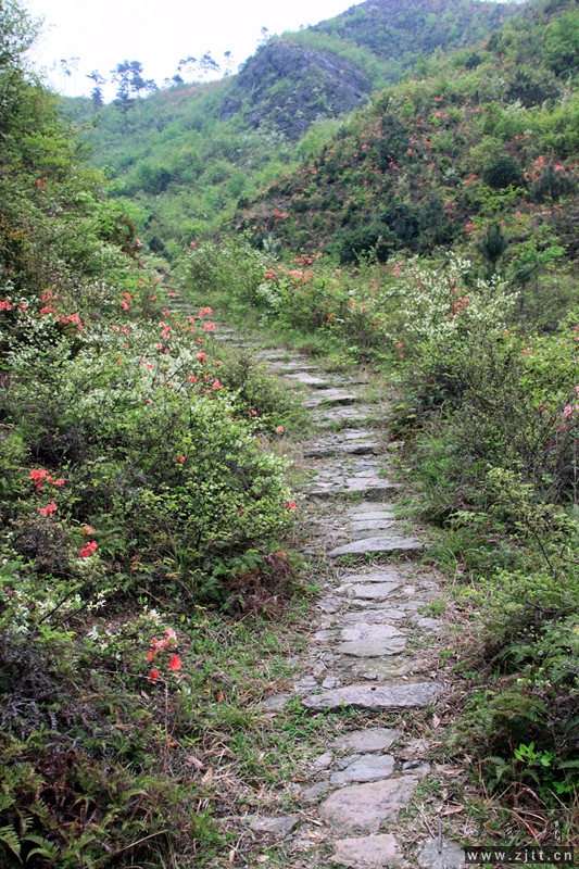 照片 631_副本.jpg