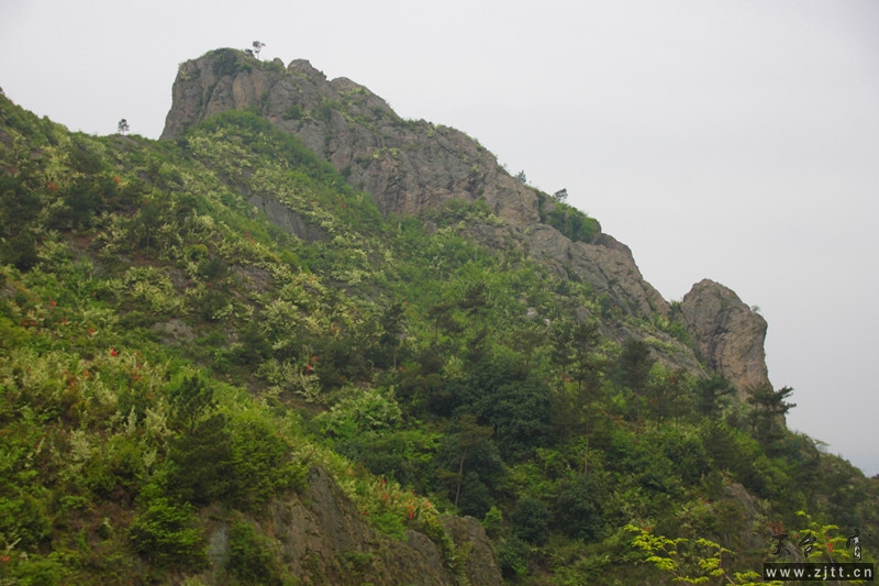 照片 633_副本.jpg