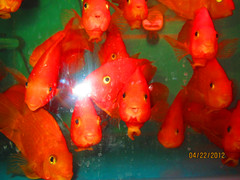 照片 023_副本.jpg