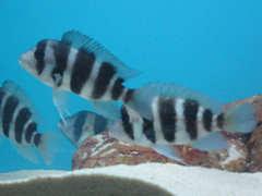 照片 031_副本.jpg