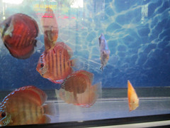 照片 037_副本.jpg