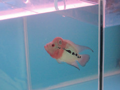 照片 044_副本.jpg