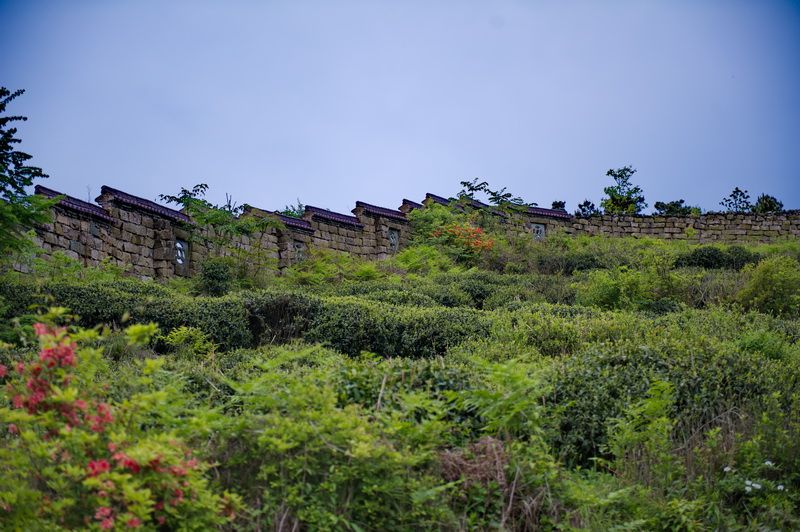 DSC_5522-1.jpg
