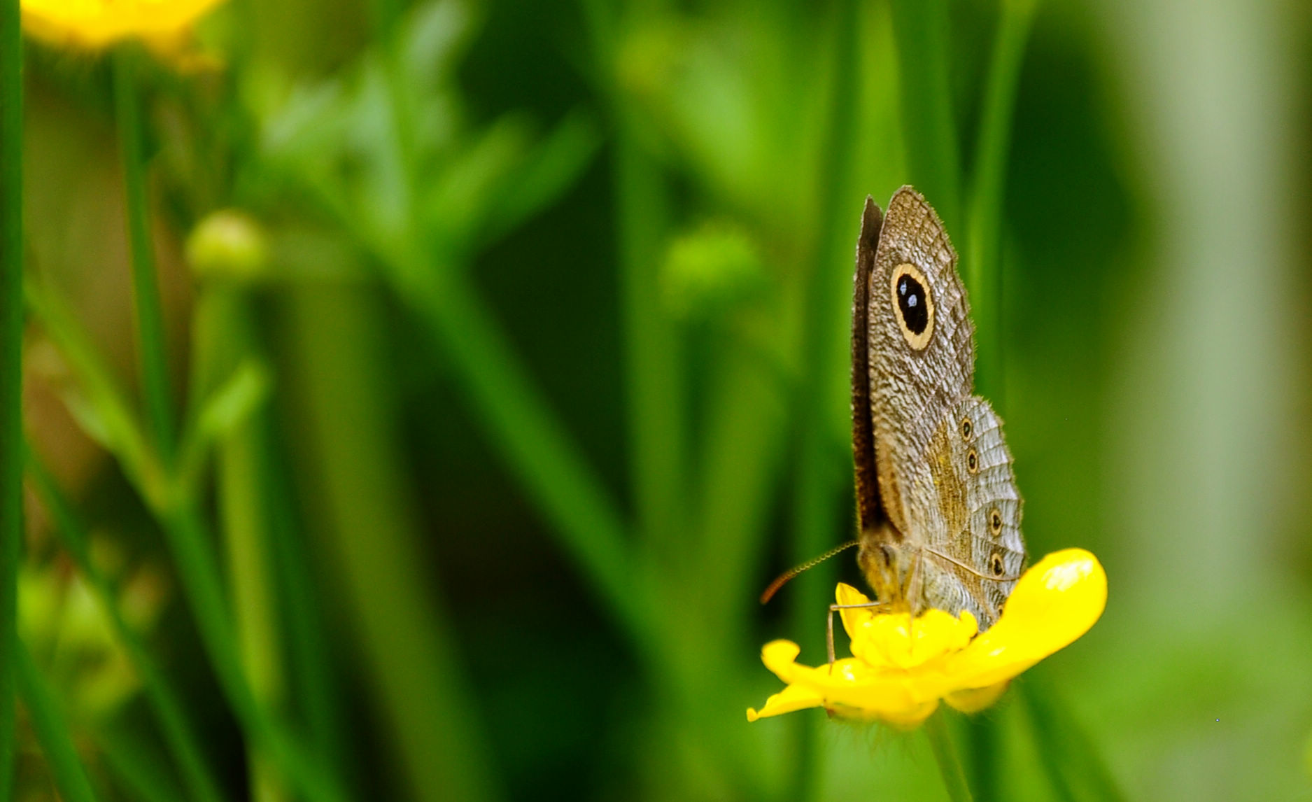 DSC_0165.jpg