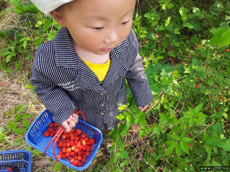 20120506_090716_缩小大小.jpg