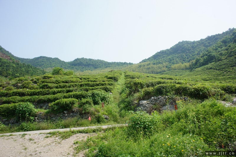 DSC00132_缩小大小.jpg