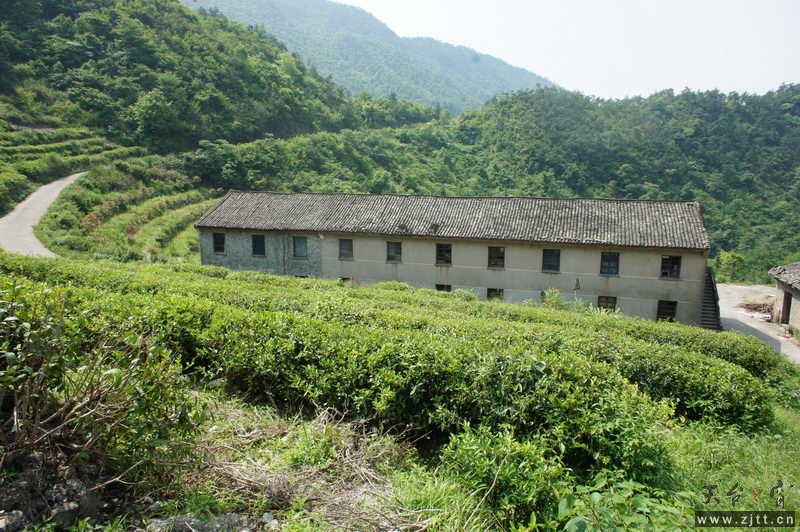 DSC00138_缩小大小.jpg