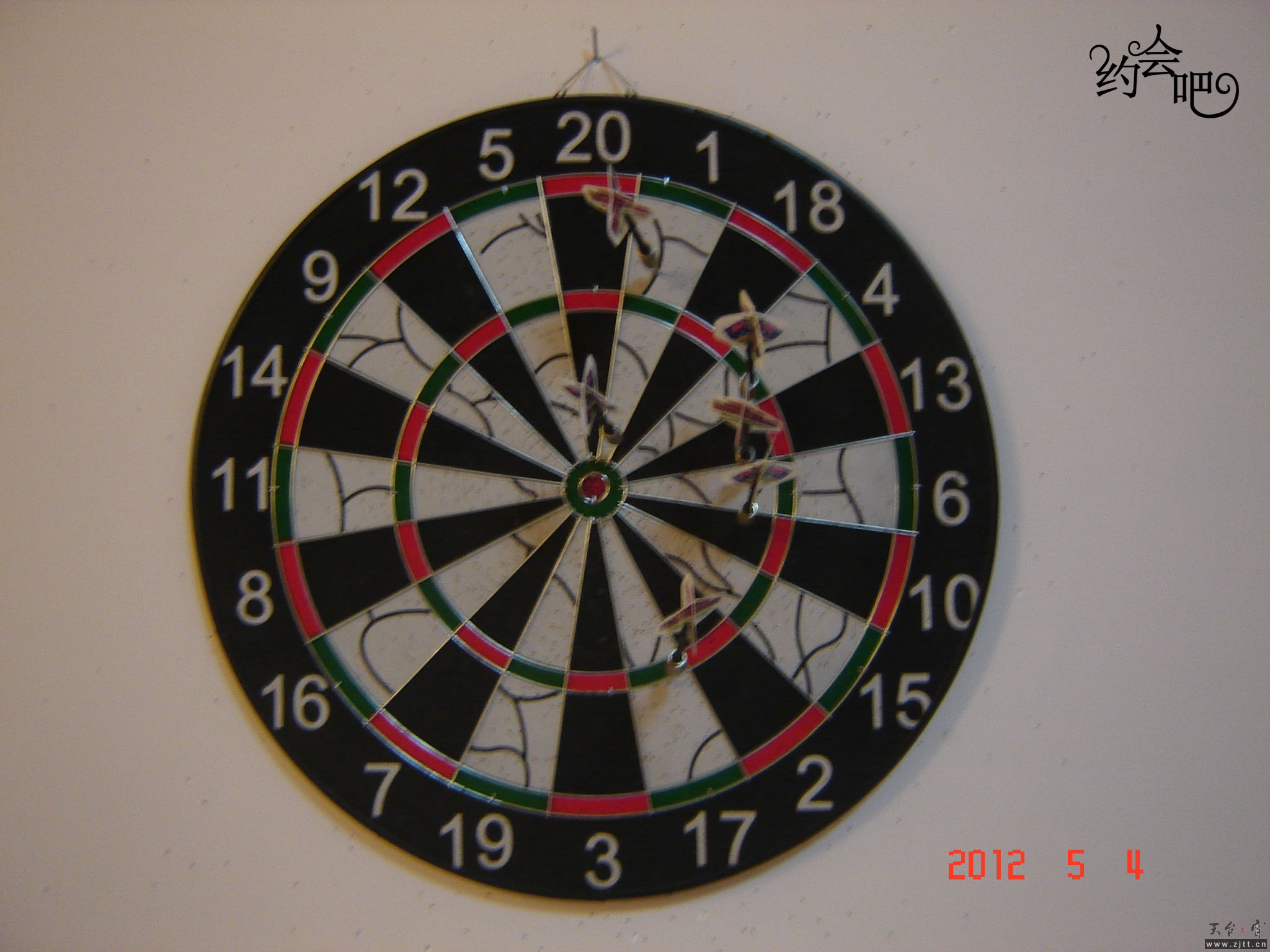 DSC07953.jpg