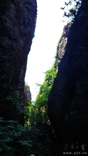 nEO_IMG_DSC01121.jpg