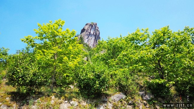 nEO_IMG_DSC01125.jpg