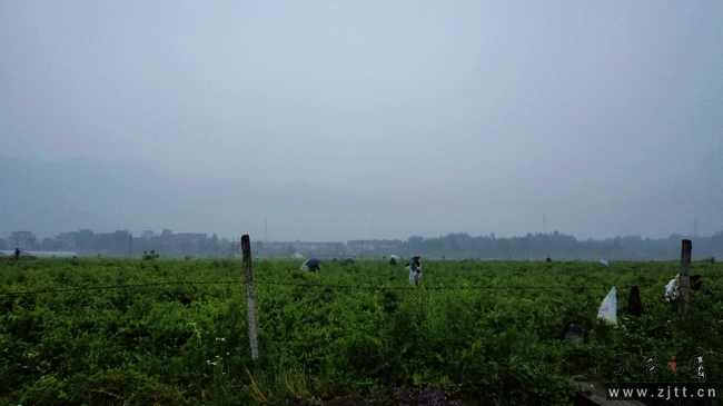 nEO_IMG_DSC01127.jpg