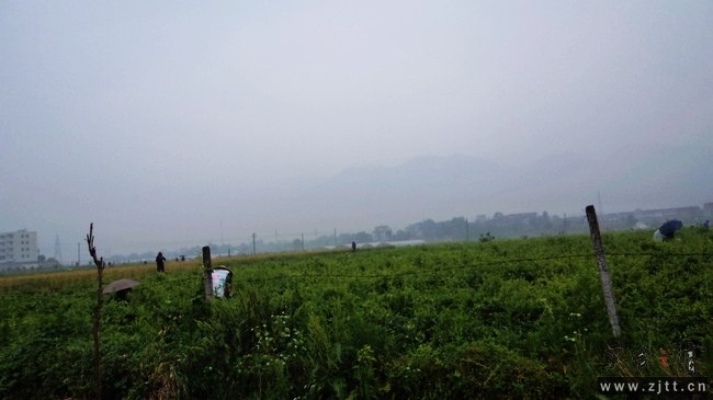 nEO_IMG_DSC01128.jpg