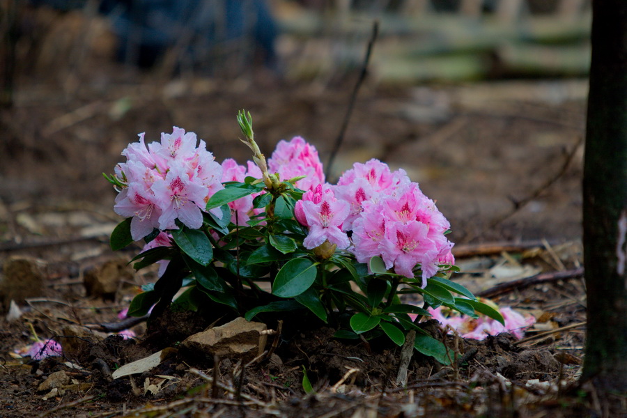 IMG_3638_缩小大小.jpg