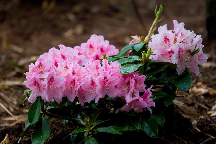 IMG_3652_缩小大小.jpg