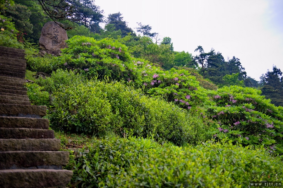 DSC_5548_缩小大小.jpg
