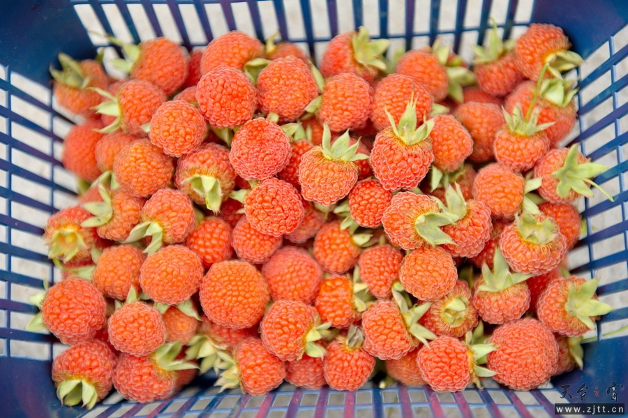 DSC_5645_缩小大小.jpg