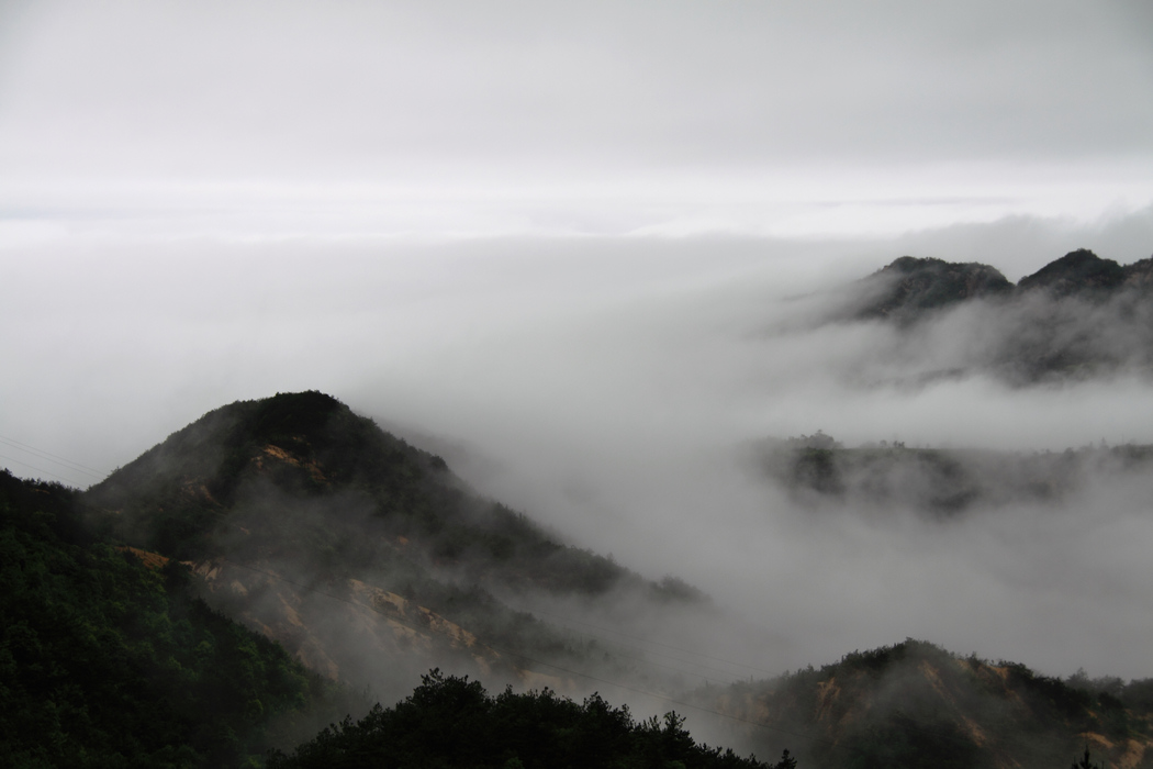 _MG_0030.jpg