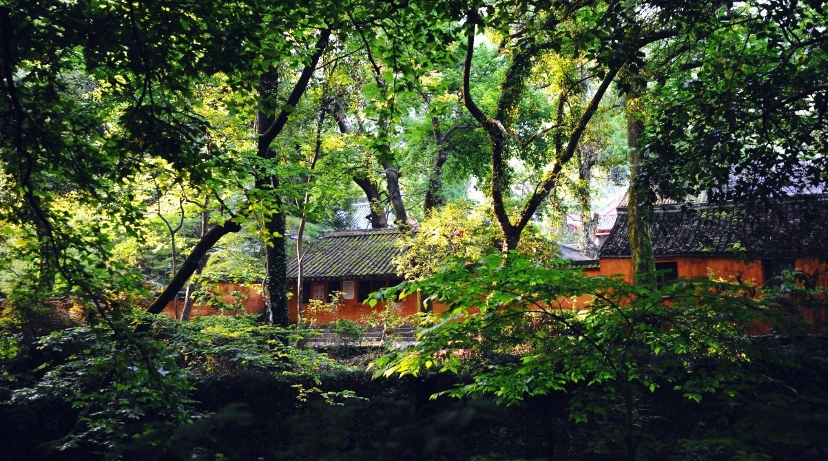 夕阳下的 略陶醉