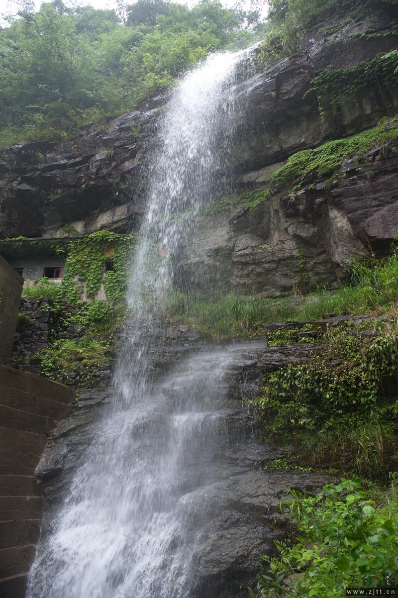 DSC_6834-1.jpg