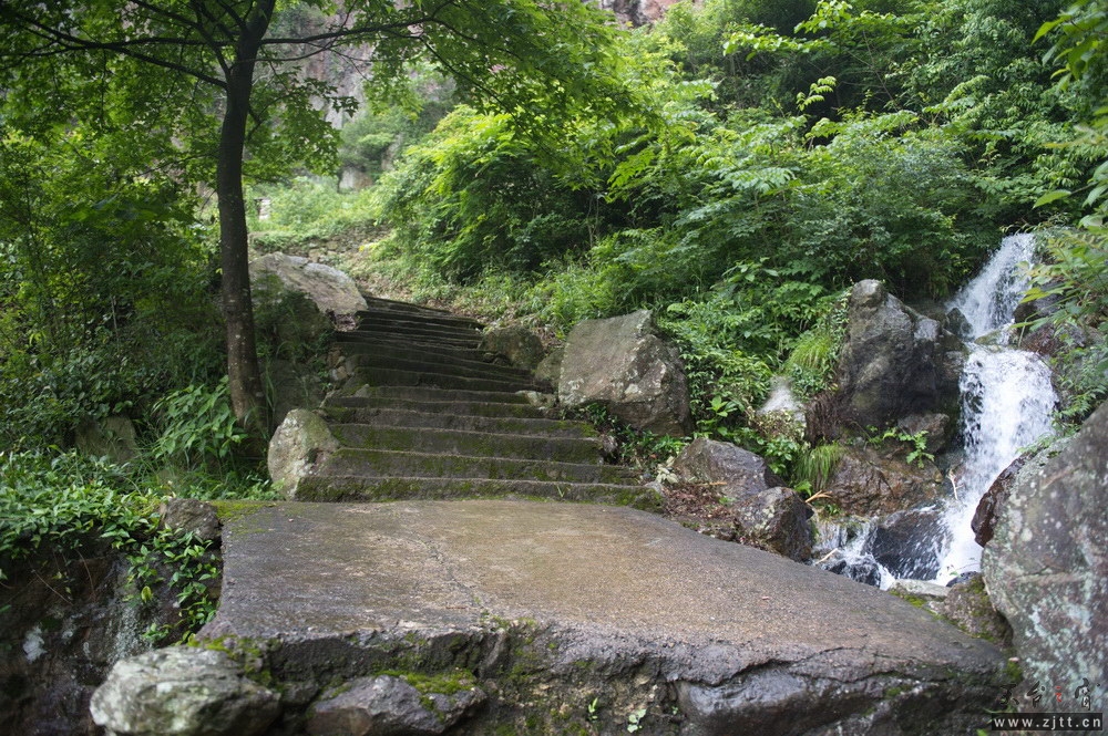 DSC_6876-1.jpg