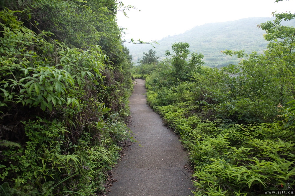 DSC_6914-1.jpg