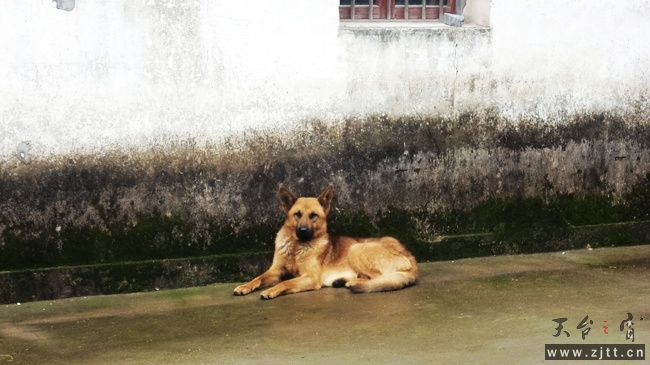 nEO_IMG_DSC01227.jpg