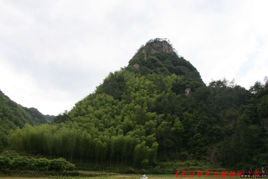 九遮山照片 184.jpg