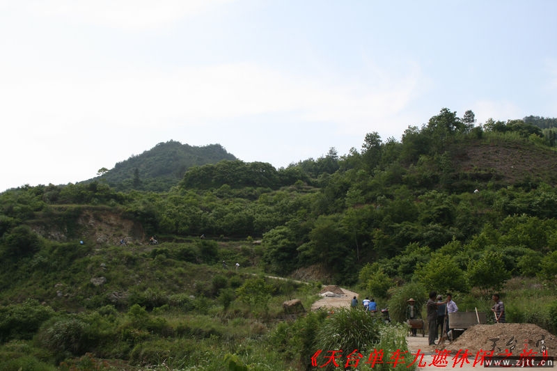 九遮山照片 206.jpg