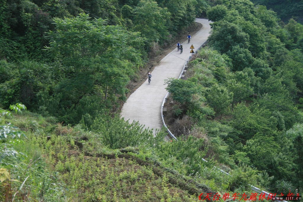 九遮山照片 241.jpg