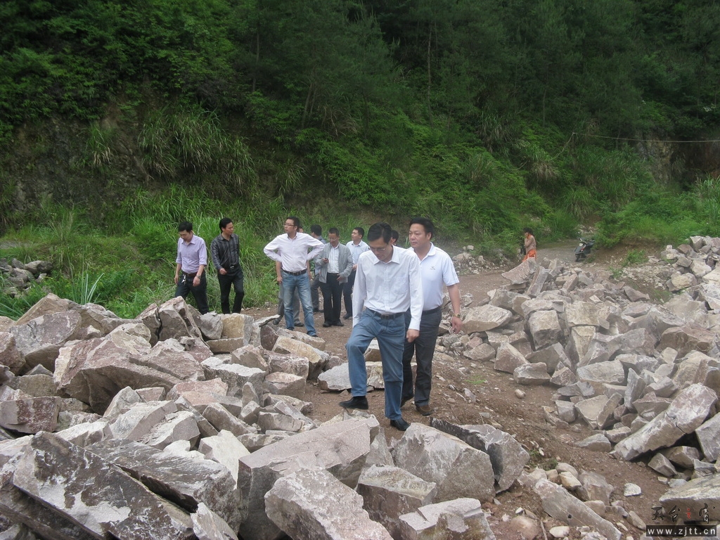 市防汛督查组查看街头镇枧坑山塘2.JPG