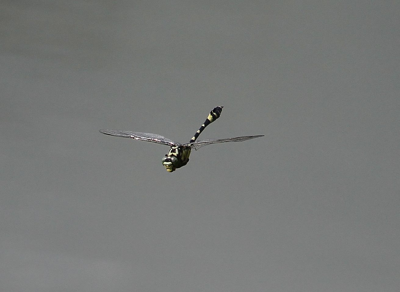 C25Q4700.jpg