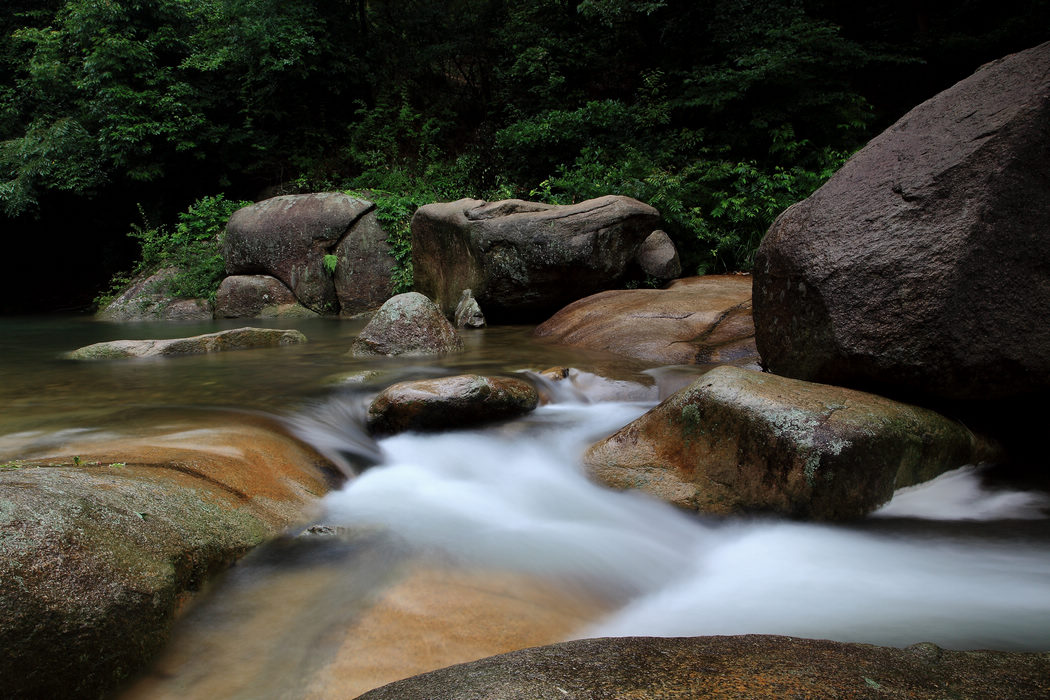 _MG_0053.JPG