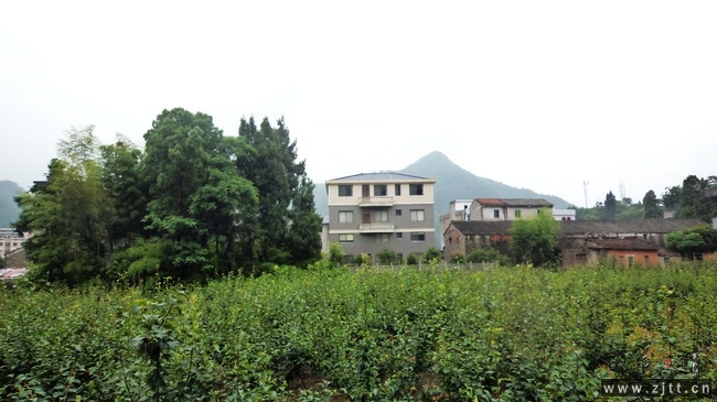 nEO_IMG_DSC01883.jpg