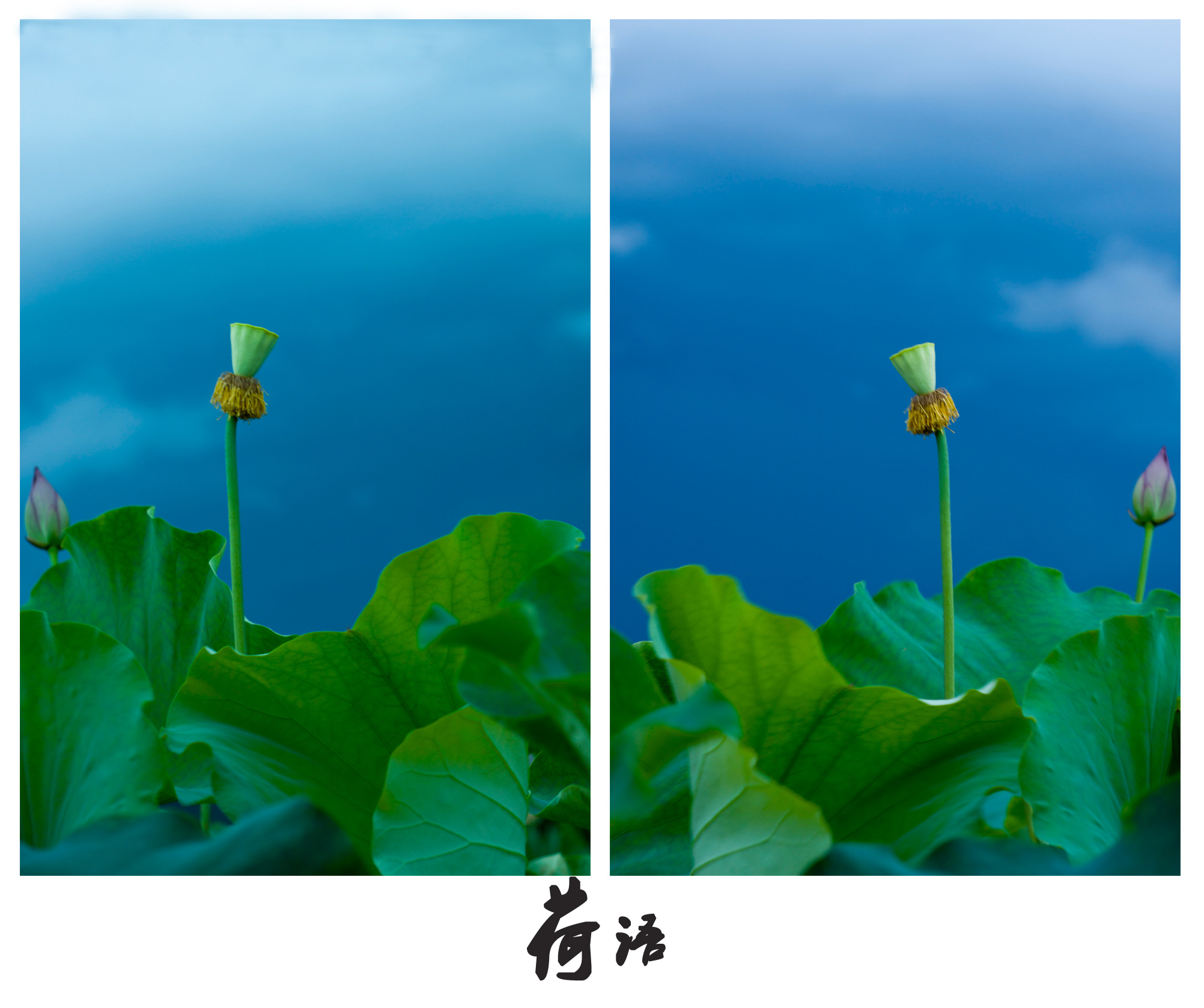未标题-16.jpg