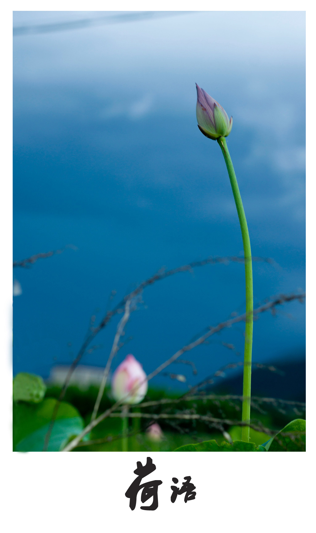 未标题-14.jpg