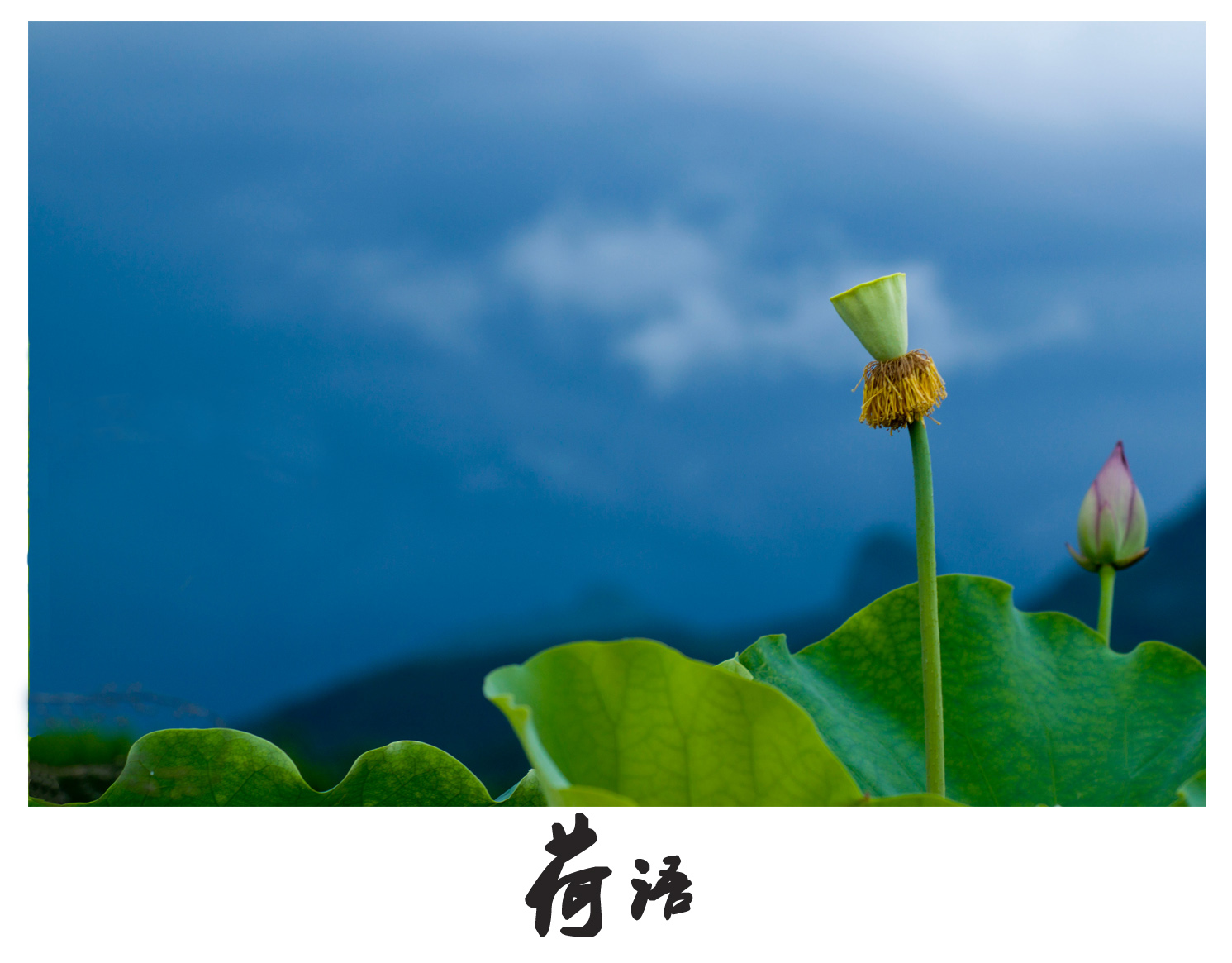 未标题-18.jpg