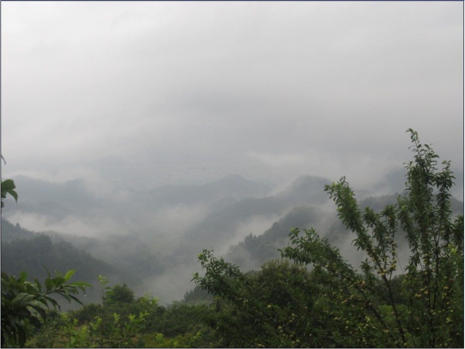紫凝山风景.jpg