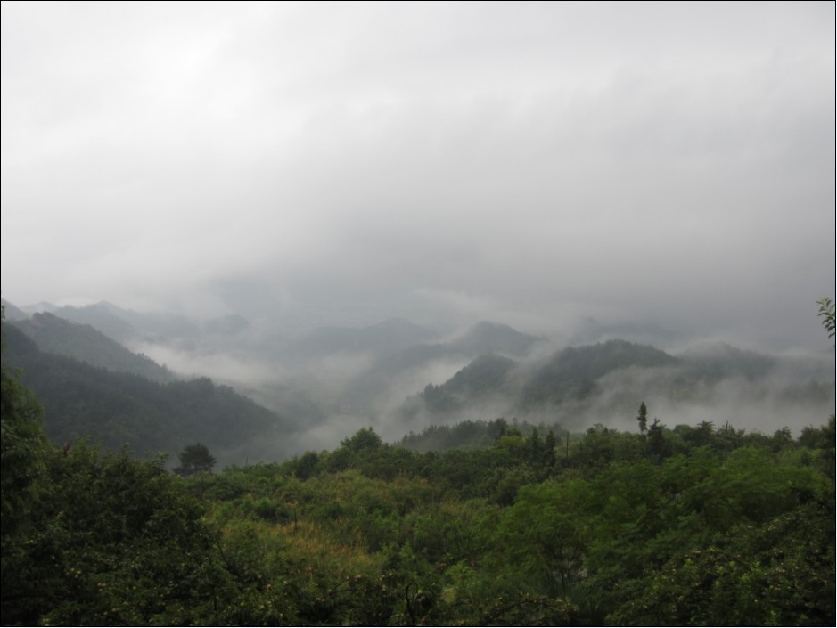 风景图2.jpg