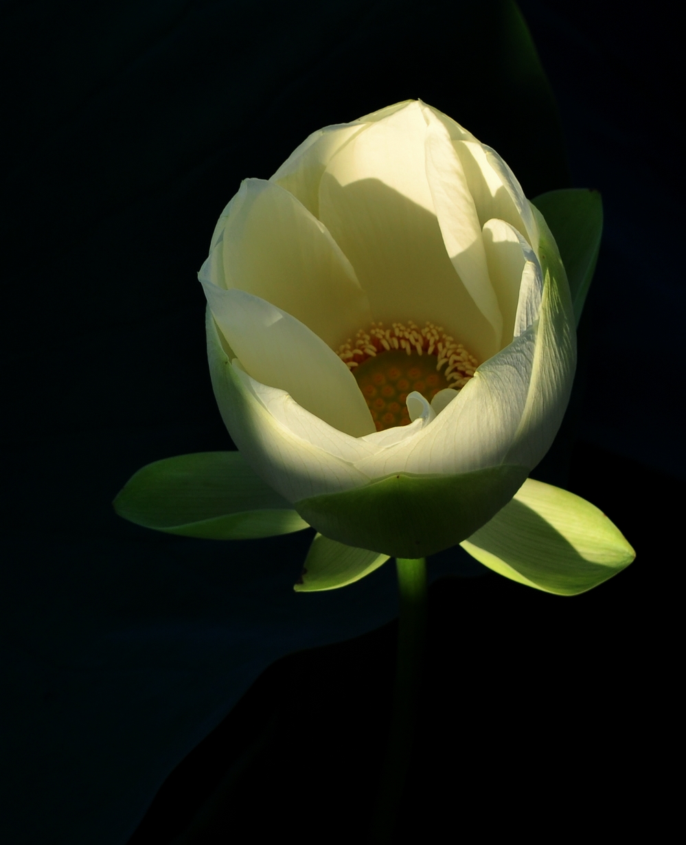 DSC_0027.JPG