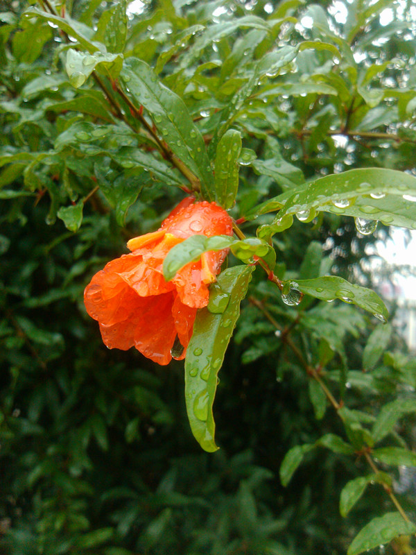 img_20120822_170353_副本.jpg