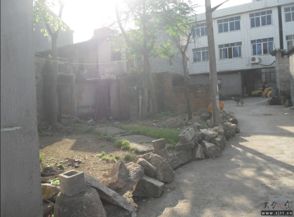 55.jpg