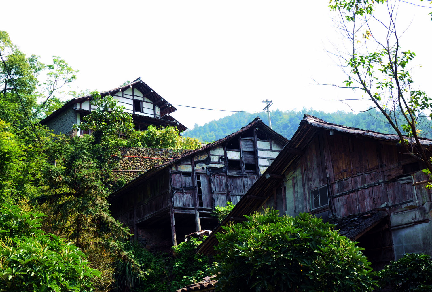 DSC_0058.jpg