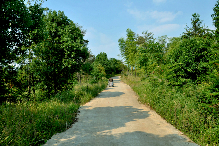 DSC_0379B.jpg
