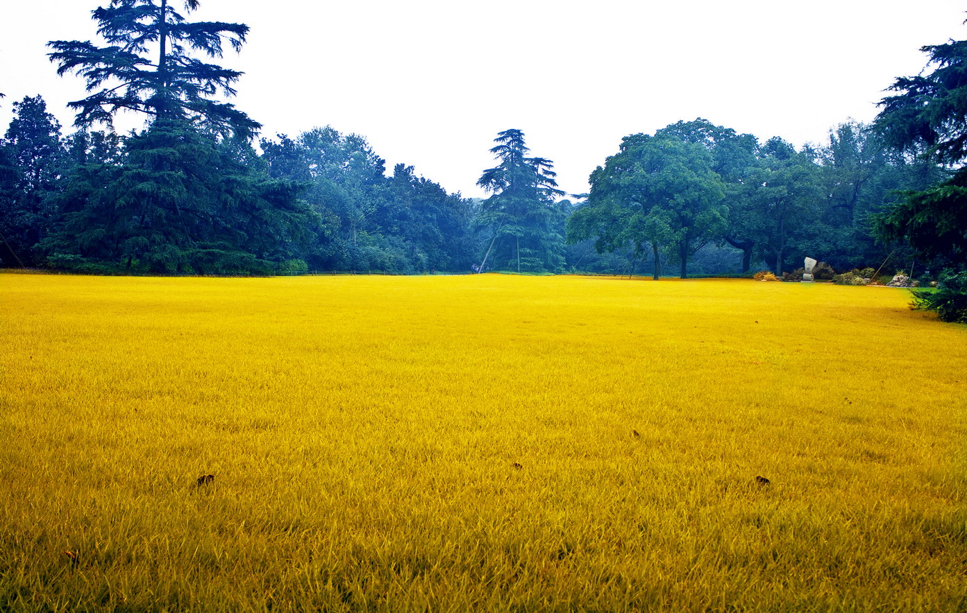 IMG_5239_调整大小.jpg