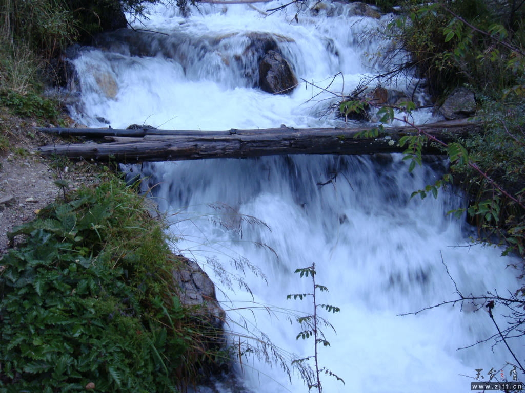 DSC02210.jpg