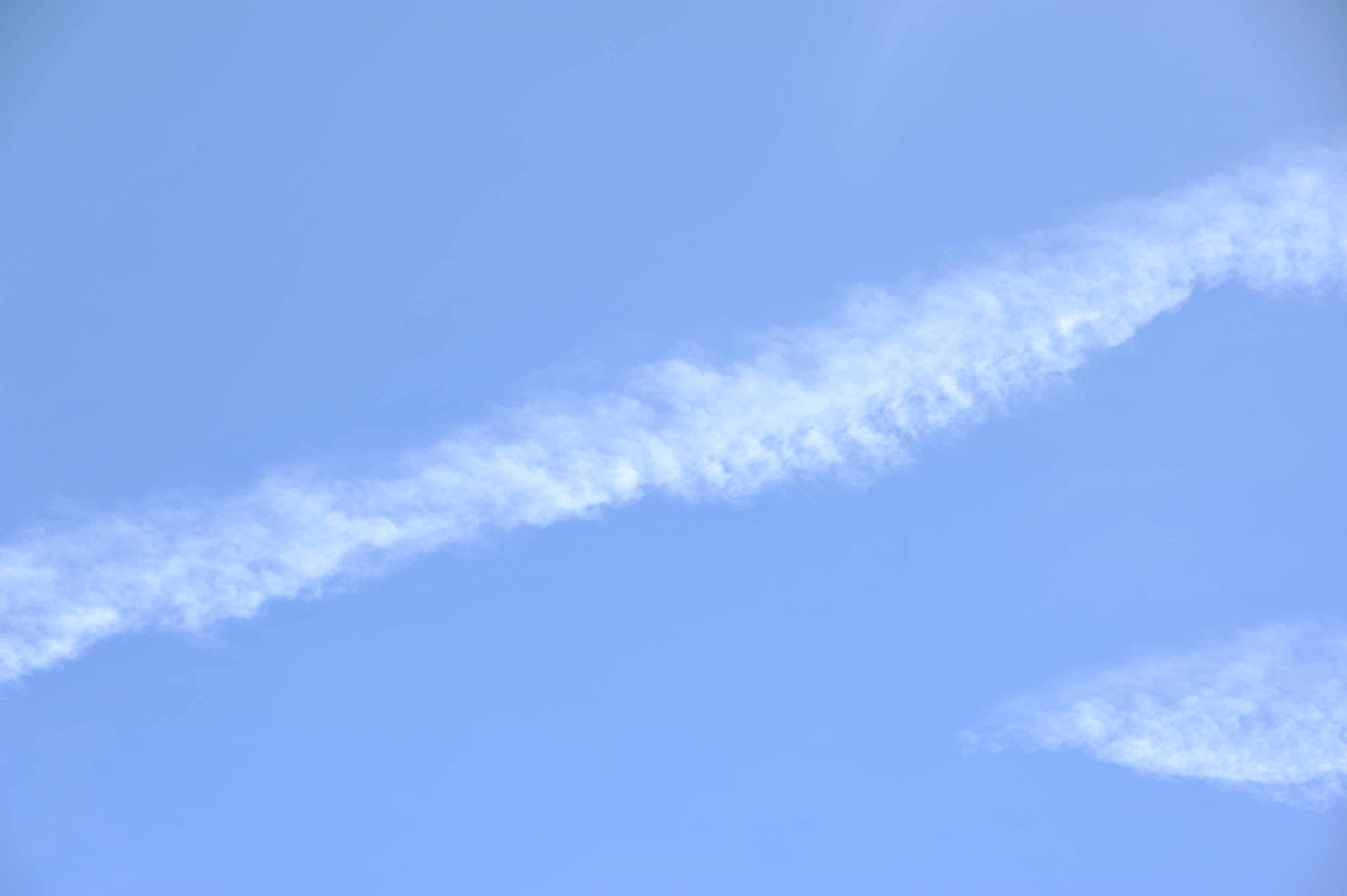 SUN_6806.jpg