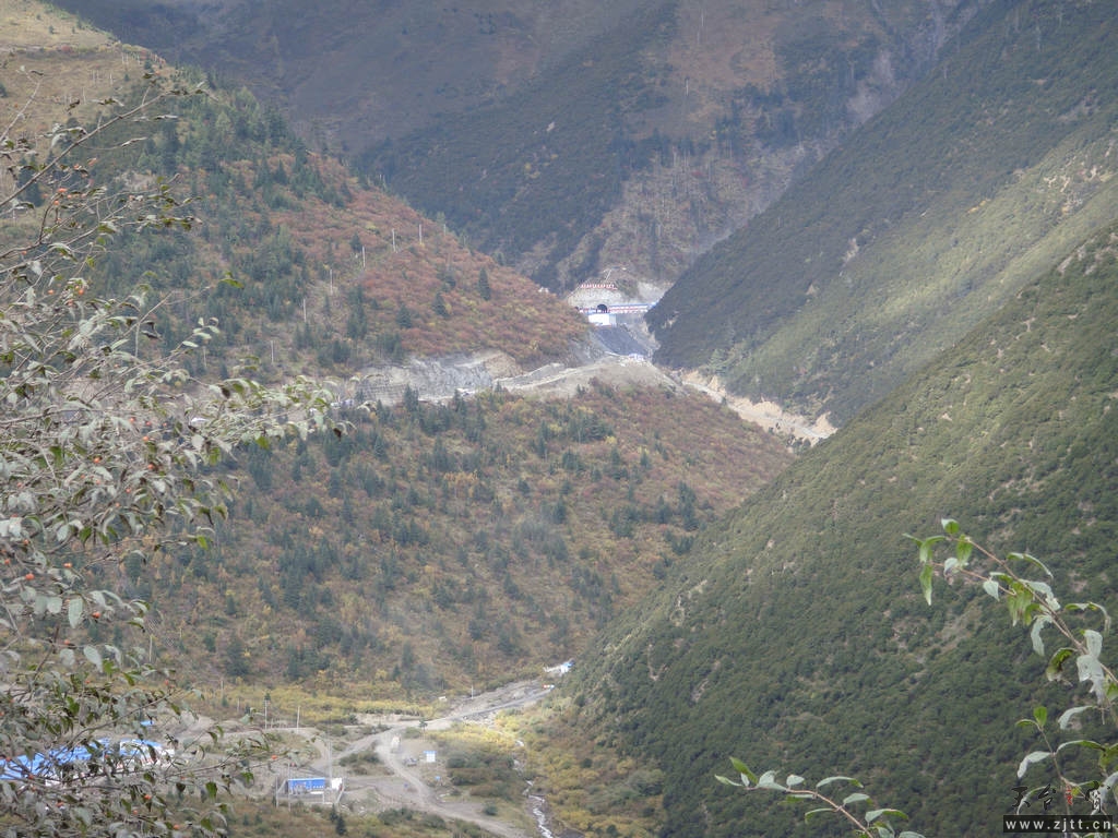 DSC02278.jpg