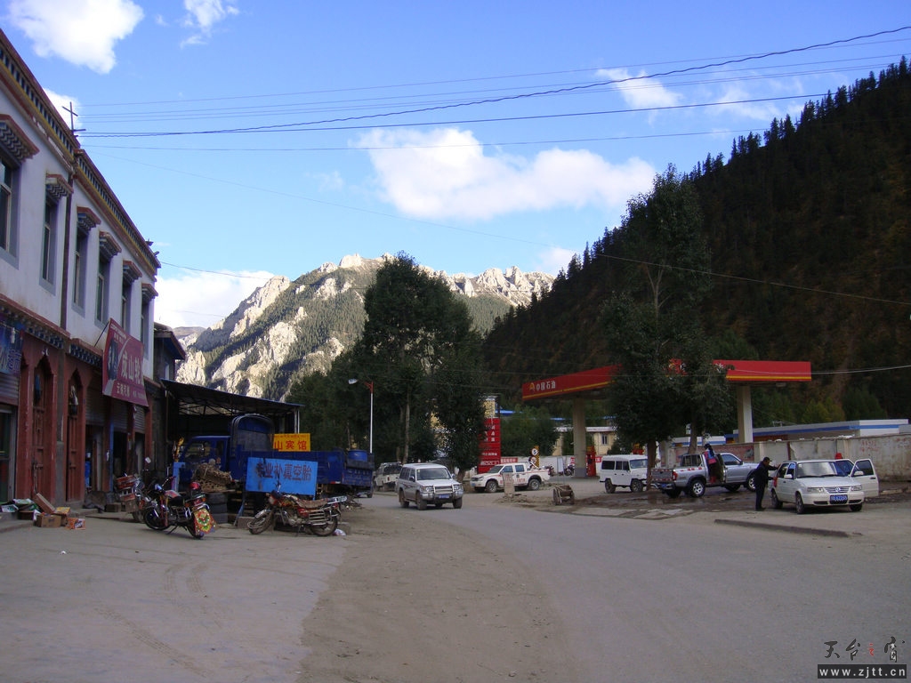 DSC02539.jpg